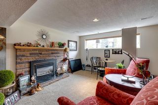 Photo 23: 10507 Mapleridge Crescent SE in Calgary: Maple Ridge Detached for sale : MLS®# A2047181
