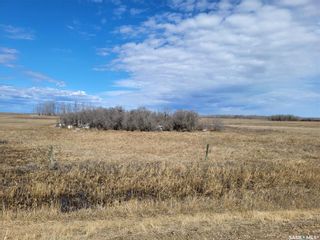 Photo 11: Radisson 158 acres Pastureland (Que) in Great Bend: Farm for sale (Great Bend Rm No. 405)  : MLS®# SK965878