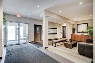 Photo 27: 210 402 Marquis Lane SE in Calgary: Mahogany Apartment for sale : MLS®# A2012261