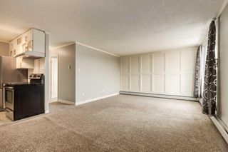 Photo 11: 307 2512 1 Avenue NW in Calgary: West Hillhurst Apartment for sale : MLS®# A2120328