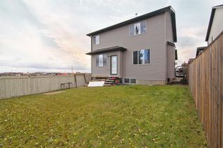 Photo 28: 224 MORNINGSIDE Green SW: Airdrie Detached for sale : MLS®# A2010314