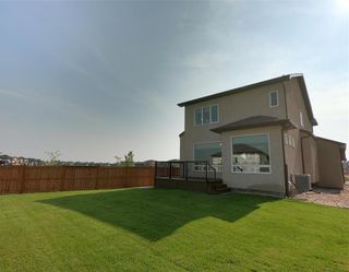 Photo 8: 338 Zimmerman Drive in Winnipeg: House for sale : MLS®# 202322233