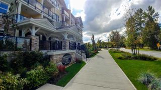 Photo 1: 206 5020 221A Street in Langley: Murrayville Condo for sale in "Murrayville House" : MLS®# R2297042
