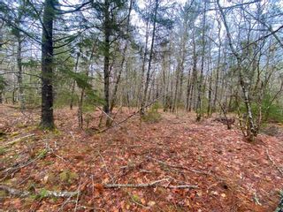 Photo 4: 11 Peter’s Point Roads in South Brookfield: 406-Queens County Vacant Land for sale (South Shore)  : MLS®# 202321308