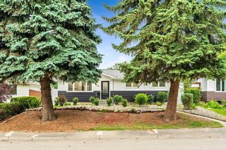 Main Photo: 155 Fredson Drive SE in Calgary: Fairview Detached for sale : MLS®# A2066225