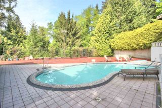 Photo 17: 4807 PATRICK PLACE in Burnaby: South Slope House for sale (Burnaby South) 
