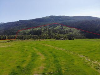 Photo 20: 3134 Mabel Lake Road in Lumby: Vacant Land for sale : MLS®# 10274152