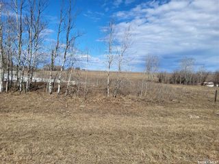 Photo 2: Radisson 158 acres Pastureland (Que) in Great Bend: Farm for sale (Great Bend Rm No. 405)  : MLS®# SK965878