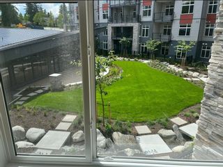 Photo 9: 203 11077 RAVINE Road in Surrey: Whalley Condo for sale in "LEDGEVIEW" (North Surrey)  : MLS®# R2769830