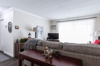 Photo 16: 303 32910 AMICUS Place in Abbotsford: Central Abbotsford Condo for sale in "ROYAL OAKS" : MLS®# R2756142