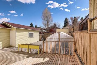 Photo 45: 262 SANDSTONE Place NW in Calgary: Sandstone Valley Detached for sale : MLS®# C4294032