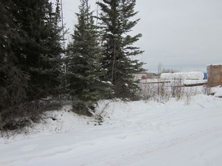 Photo 3: 8.6 Acres of Industrial land for sale