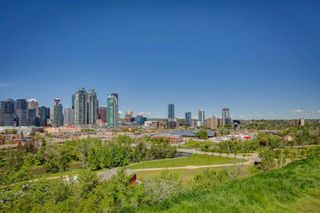Photo 49: 1215 Bellevue Avenue SE in Calgary: Ramsay Detached for sale : MLS®# A2139406
