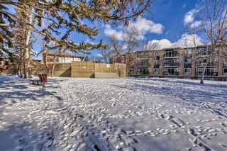 Photo 1: 513 8948 Elbow Drive SW in Calgary: Haysboro Apartment for sale : MLS®# A2106950