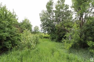 Photo 5: 18322 Twp Rd 610: Rural Smoky Lake County Vacant Lot/Land for sale : MLS®# E4330250