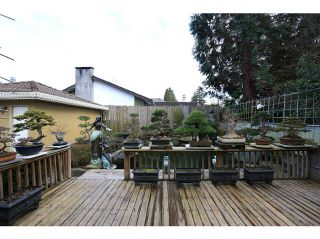 Photo 18: 6916 YEW Street in Vancouver: S.W. Marine House for sale (Vancouver West)  : MLS®# V1046678