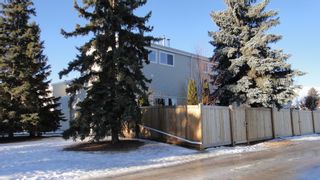 Photo 27:  in Edmonton: Zone 16 Townhouse for sale : MLS®# E4272135