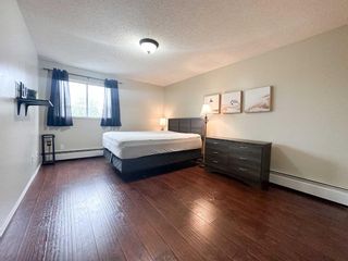 Photo 20: 409 1304 1 Avenue: Wainwright Apartment for sale : MLS®# A2076769
