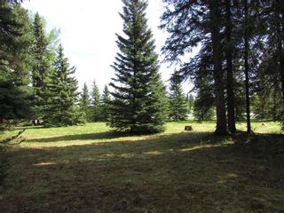 Photo 19: 127, 5241 TWP Rd 325A: Rural Mountain View County Land for sale : MLS®# C4299936