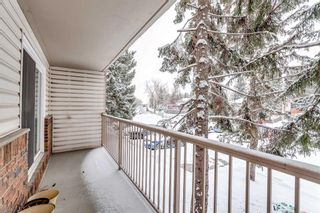 Photo 22: 205 3420 50 Street NW in Calgary: Varsity Apartment for sale : MLS®# A2117337