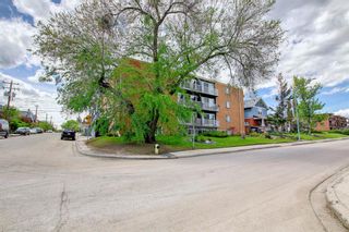 Photo 17: 205 2515 14A Street SW in Calgary: Bankview Apartment for sale : MLS®# A1228383