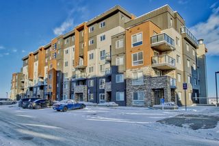 Photo 1: 506 20 Kincora Glen Park NW in Calgary: Kincora Apartment for sale : MLS®# A2021858