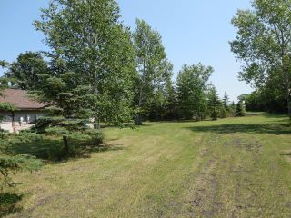 Photo 6: 0 Hay Road: Gonor Residential for sale (R02)  : MLS®# 202311966