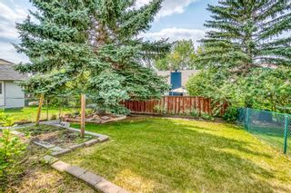 Photo 29: 55 Ranchridge Crescent NW in Calgary: Ranchlands Detached for sale : MLS®# A2070246