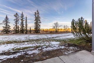 Photo 33: MR 192 Crawford Drive: Cochrane Apartment for sale : MLS®# A2093130