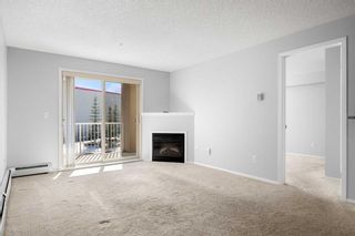 Photo 18: 210 428 Chaparral Ravine View SE in Calgary: Chaparral Apartment for sale : MLS®# A2114017