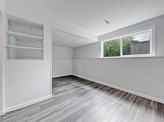 Photo 18: 183 Bermuda Drive NW in Calgary: Beddington Heights Detached for sale : MLS®# A1222760