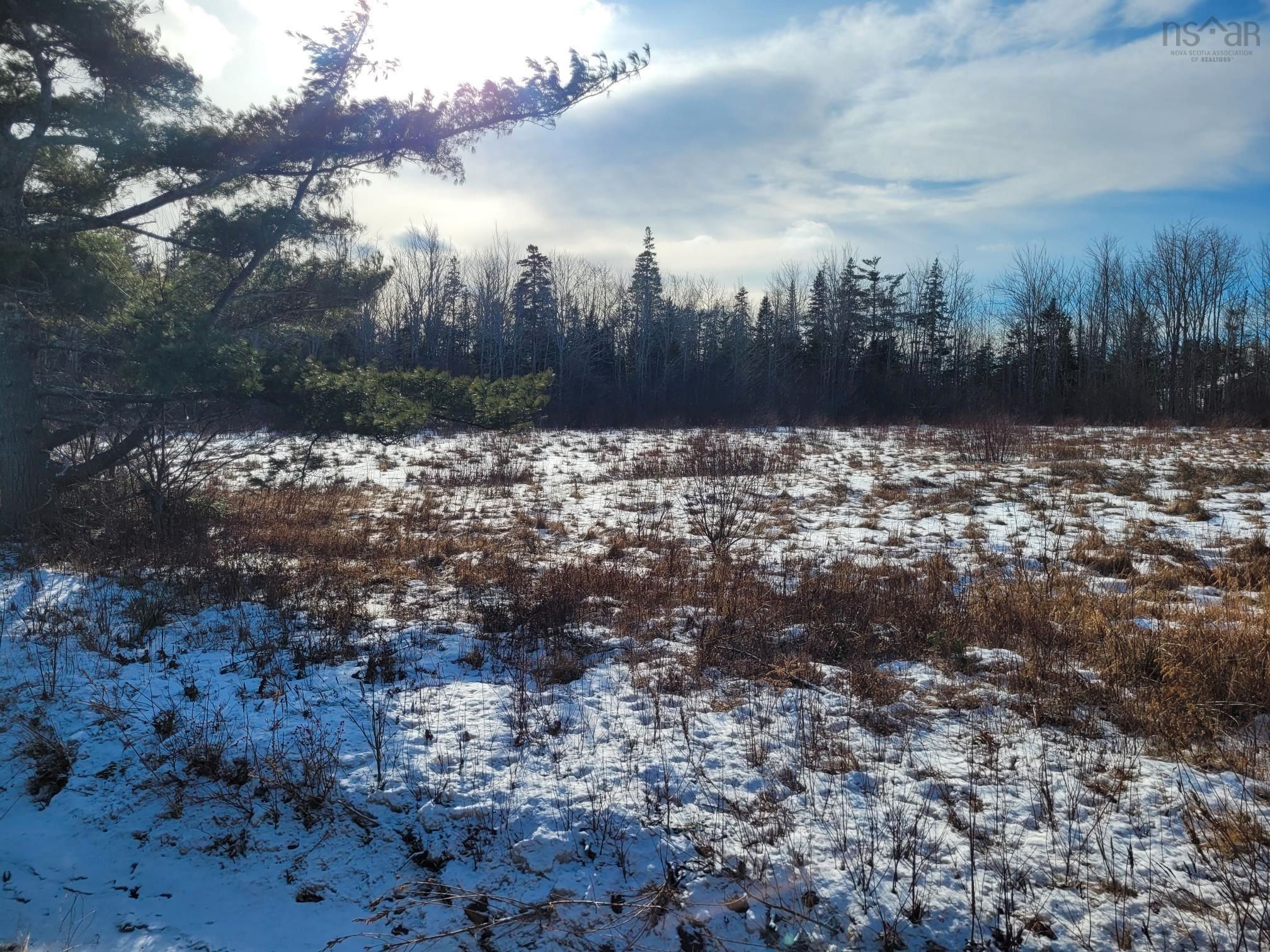 Main Photo: Lot 1 Highway 106 in Haliburton: 108-Rural Pictou County Vacant Land for sale (Northern Region)  : MLS®# 202400764