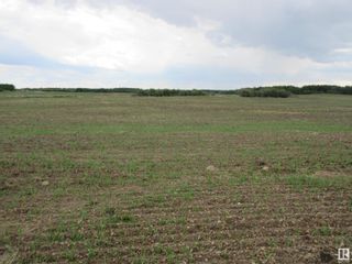 Photo 8: Twp Rd 612 RR 223: Rural Thorhild County Vacant Lot/Land for sale : MLS®# E4318876