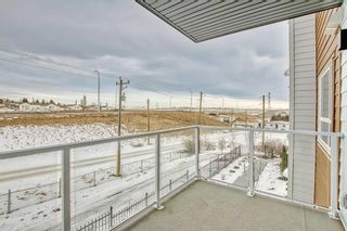 Photo 14: 219 360 Harvest Hills Way NE in Calgary: Harvest Hills Apartment for sale : MLS®# A2117951