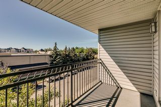 Photo 29: 314 2440 34 Avenue SW in Calgary: South Calgary Apartment for sale : MLS®# A2076359