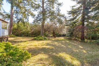 Photo 11: 379 Wain Rd in North Saanich: NS Deep Cove House for sale : MLS®# 926767