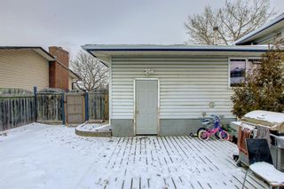 Photo 41: 6303 Rundlehorn Drive NE in Calgary: Pineridge Detached for sale : MLS®# A1181029