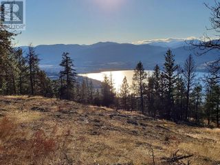 Photo 16: 1205 SPILLER Road in Penticton: Vacant Land for sale : MLS®# 10302477