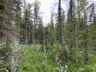 Photo 14: 5212 Township Road 312: Rural Mountain View County Residential Land for sale : MLS®# A2121747