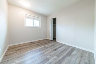 Photo 11: 32 Dovercroft Place SE in Calgary: Dover Detached for sale : MLS®# A2133917