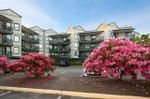 Main Photo: 214 20454 53 Avenue in Langley: Langley City Condo for sale : MLS®# R2884328