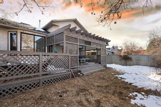 Photo 40: 688 Sunmills Drive SE in Calgary: Sundance Detached for sale : MLS®# A2035971
