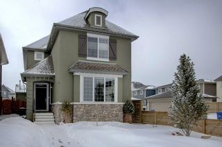 Photo 1: 341 MARQUIS Heights SE in Calgary: Mahogany House for sale : MLS®# C4177728
