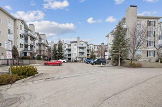 Main Photo: 116 369 Rocky Vista Park NW in Calgary: Rocky Ridge Apartment for sale : MLS®# A2118501