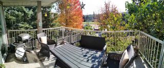 Photo 39: 232 13900 HYLAND Road in Surrey: East Newton Townhouse for sale in "Hyland Grove" : MLS®# R2519167