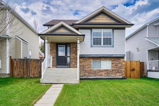 Photo 1: 260 Bridlewood Avenue SW in Calgary: Bridlewood Detached for sale : MLS®# A2129627
