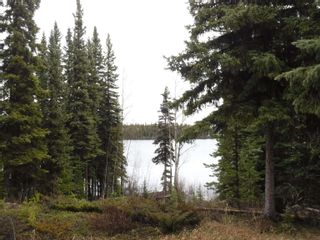 Photo 2: 3116 ELSEY Road in Williams Lake: Chilcotin House for sale : MLS®# R2693891