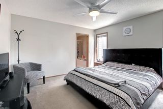 Photo 21: 130 Elgin View SE in Calgary: McKenzie Towne Detached for sale : MLS®# A1233378