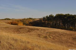 Photo 7: 6 Peace Bay in Dundurn: Lot/Land for sale (Dundurn Rm No. 314)  : MLS®# SK889853
