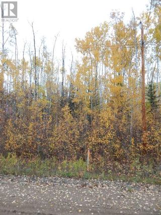 Photo 2: 56 Tugate Drive in Rural Mackenzie County: Vacant Land for sale : MLS®# A2044171